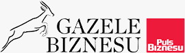 Gazele Biznesu